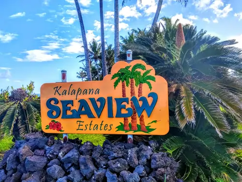 103184740_10222714792848401_2372952962626530742_n